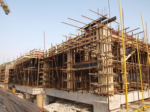 新校建設施工現(xiàn)場系列報道之一 基礎施工篇